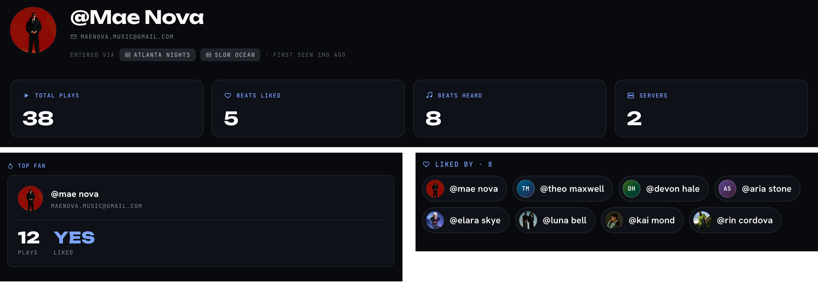 Wavloops analytics dashboard — total plays, total likes, top fan, audience activity.